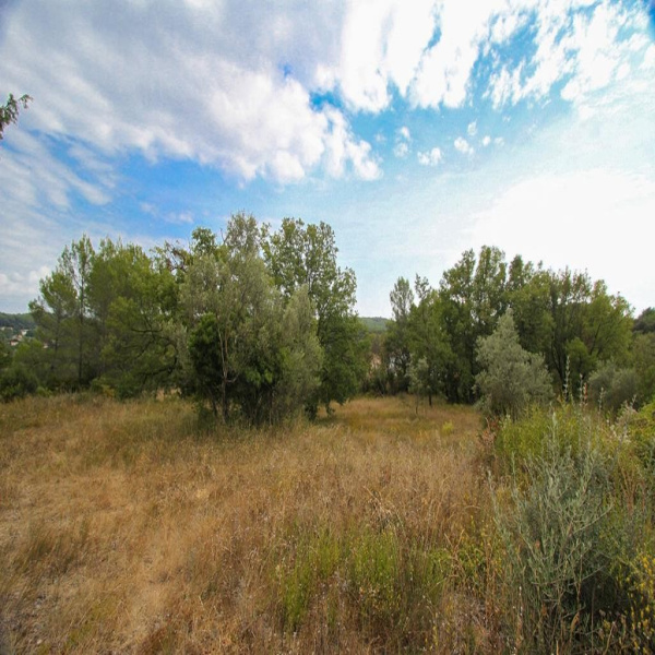 Offres de vente Terrain Draguignan 83300